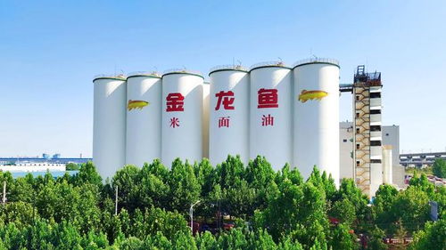 益海嘉里金龍魚八赴進(jìn)博之約 以科技健康雙輪驅(qū)動(dòng)，三季度業(yè)績(jī)穩(wěn)中有進(jìn)